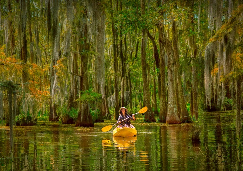 kayaker in louisiana bayou