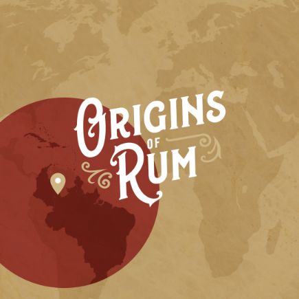 graphic of world and type reading origins of rum
