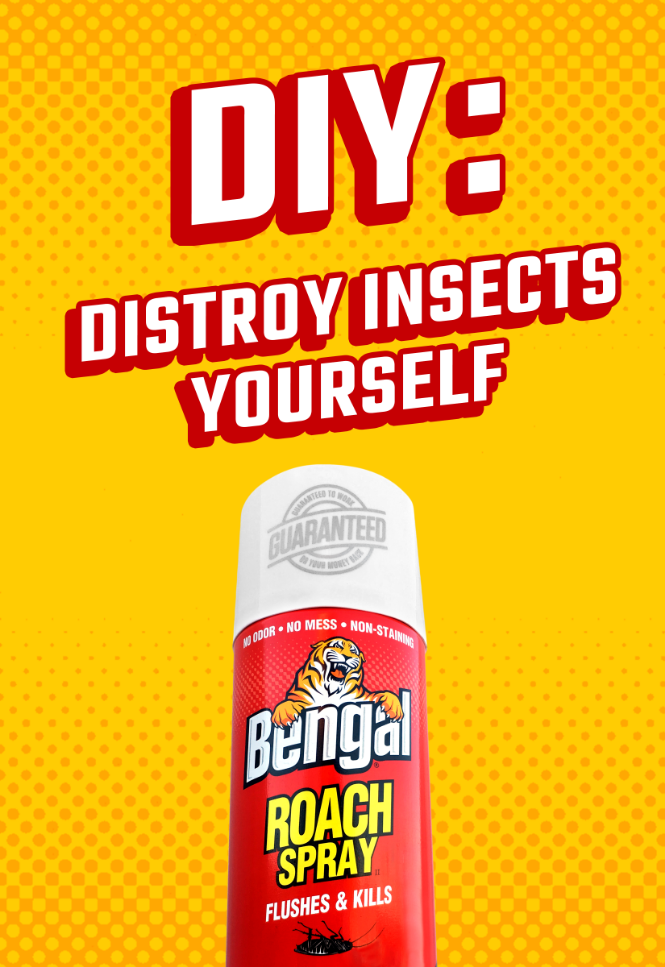 ad featuring a can of bengal roach spray on yellow background and headline
