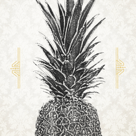 graphic illustration of pineapple