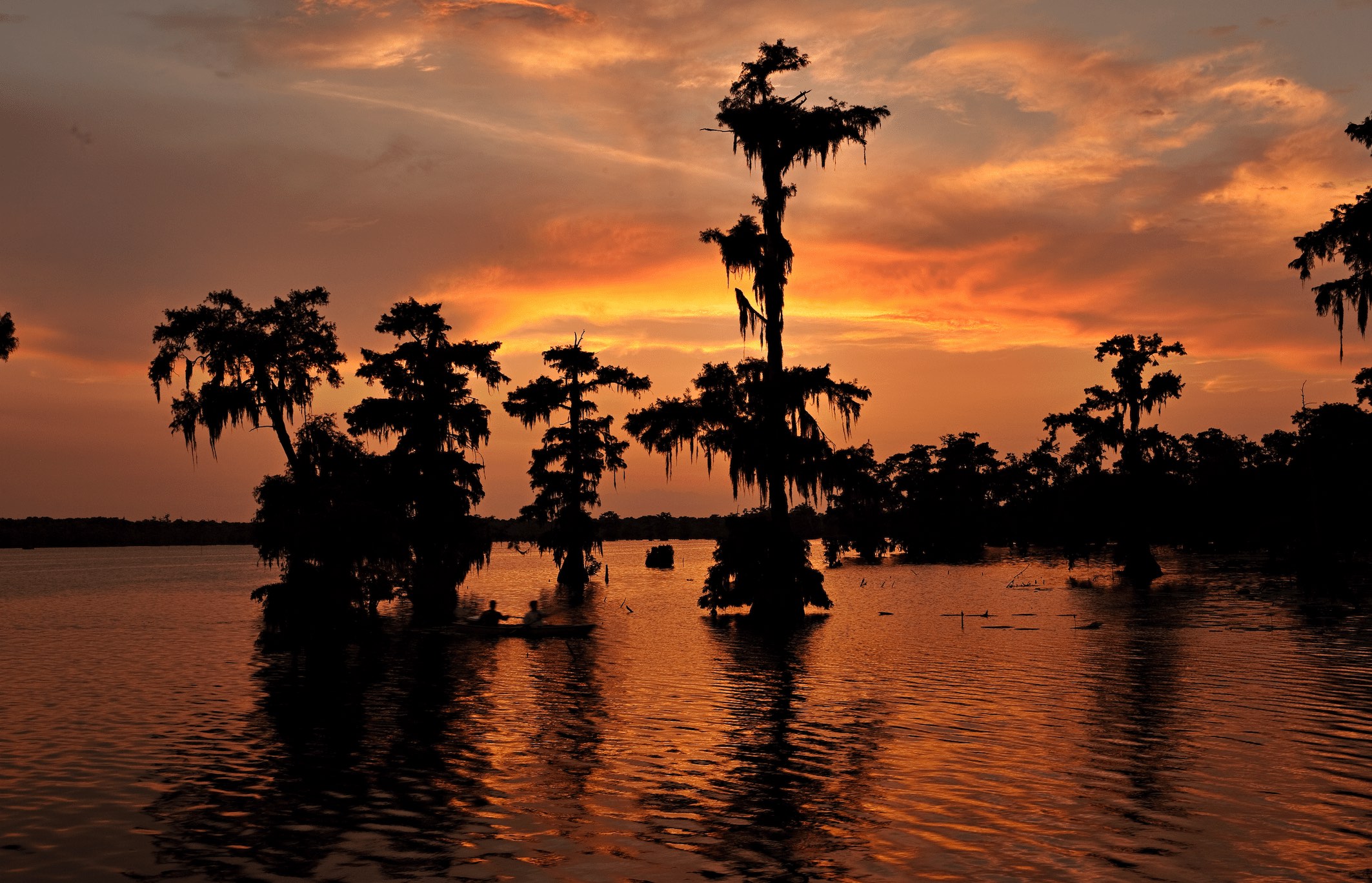 sunset over the bayou